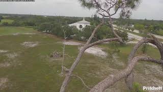 Southwest Florida Eagle Cam