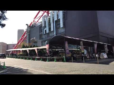 東京 自由行 必看景點：東京鐵塔！