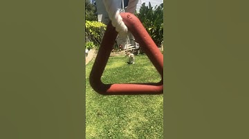 The strongest shape in nature!! 📐⚠️🔺 #triangle #nature #natural #shape #shapes