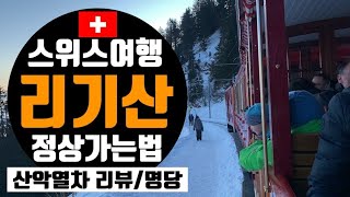 🇨🇭스위스여행 리기산 산악열차 리뷰 / 리기산 산악열차 명당 / 리기산 정상올라가기