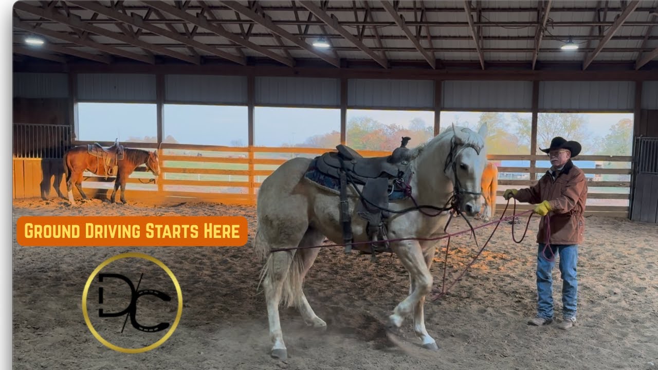 Обучение чувствам через подготовку | Вождение с целью