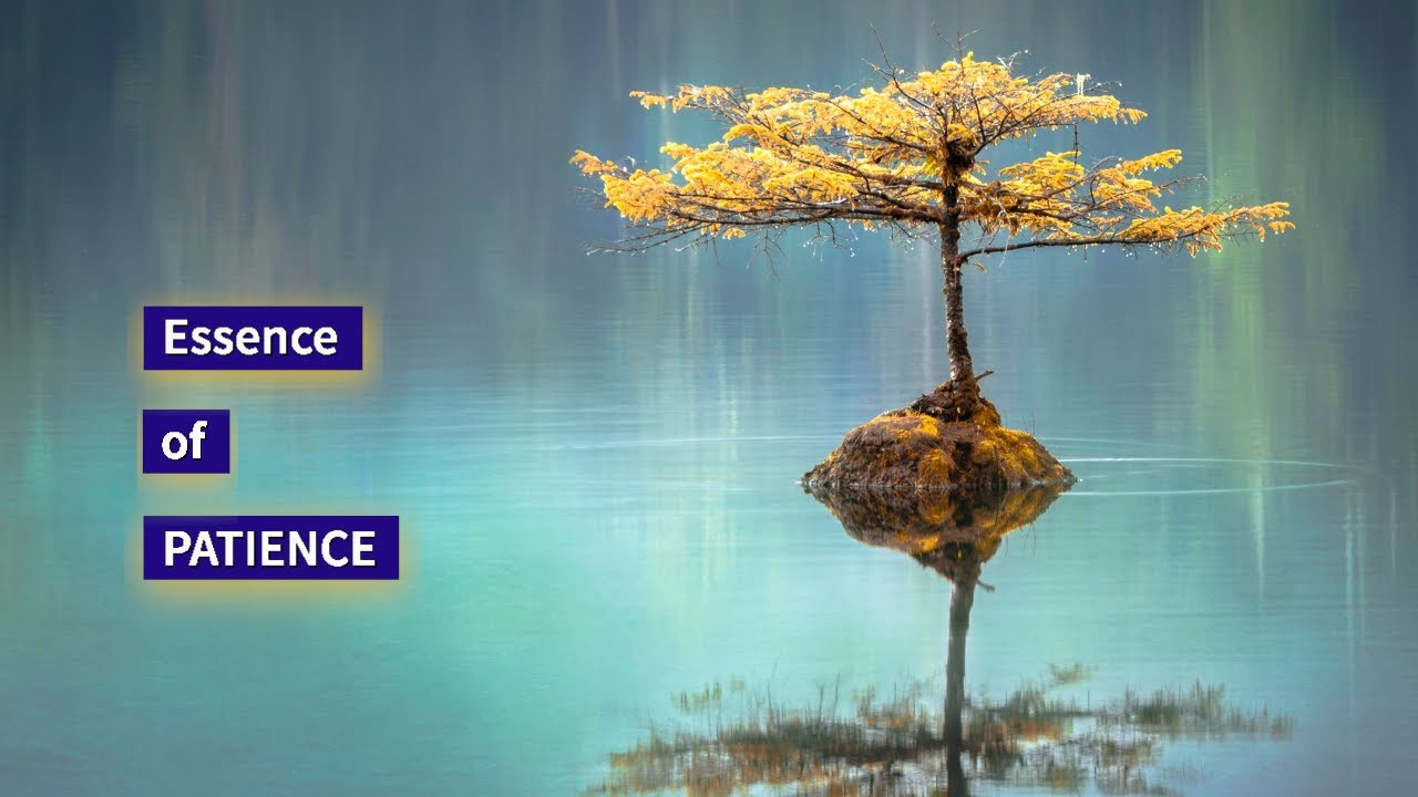 Essence of Patience - YouTube