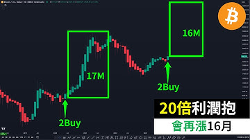 比特币20倍利润继续抱！BTC会再涨16个月#bitcoin