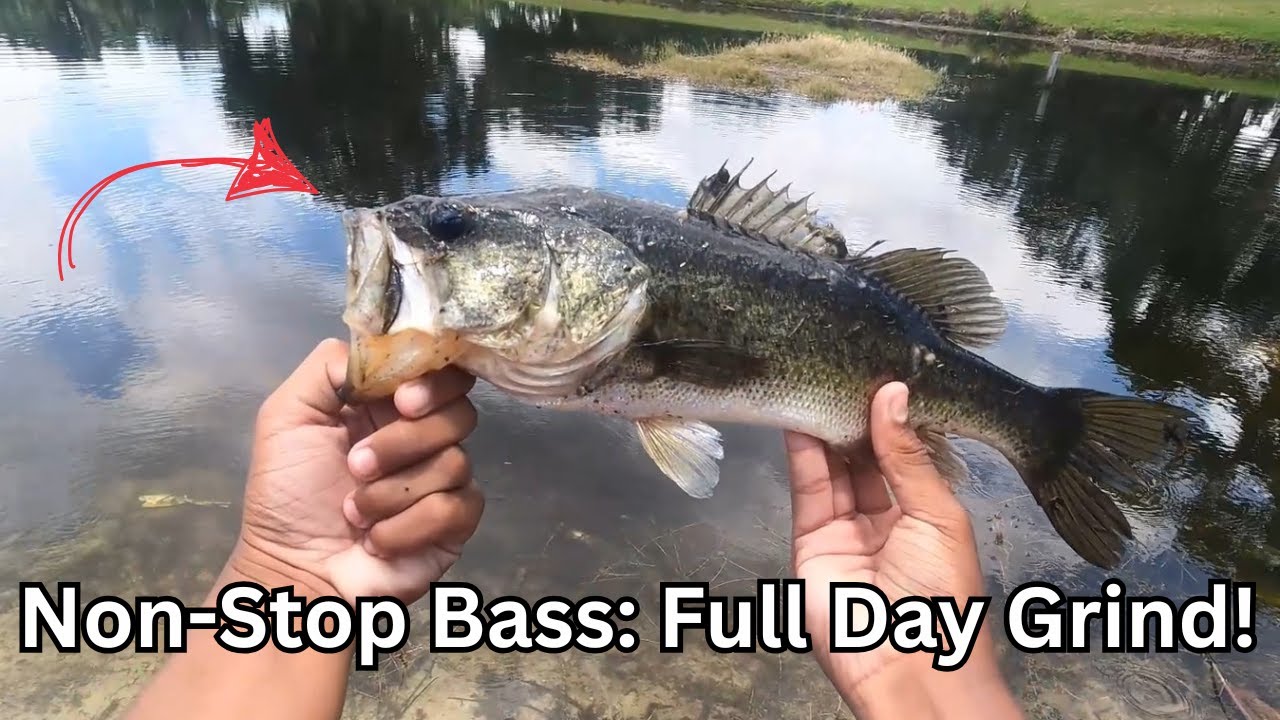NONSTOP ACTION-PACKED BASS FISHING!