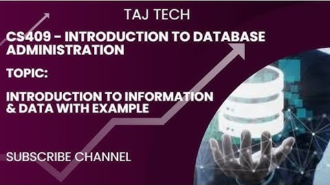 CS409 Data and information with example | Taj tech