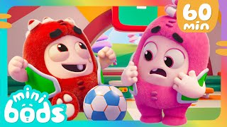 La tricheuse | Minibods | Baby Oddbods Français | Dessin Animé en Français