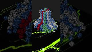 Satisfying Rainbow Ball Tsunami! 🌊 CGI Physics 2 #oddlysatisfying