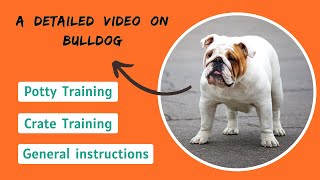 ブルドッグのトレーニング - 服従、おまる & トイレクレートトレーニング