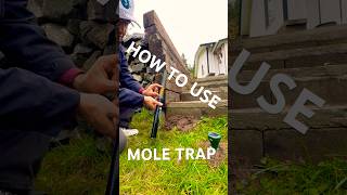 HOW TO SET A GOPHERHAWK TRAP, USE A PROVE AND GUAGE; KILLS MOLES AND GOPHERS