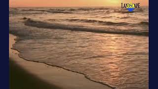 Dashiell Rae - The River Art Of Landscape