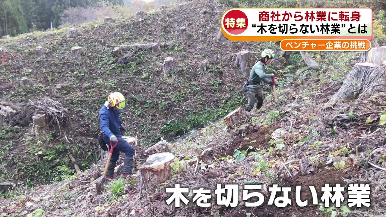 【特集】元商社マンが林業に挑戦　“木を切らない林業”とは《新潟》