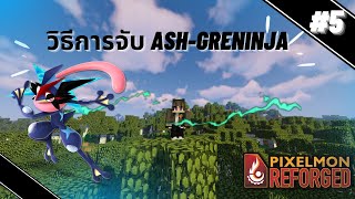 KMT z | Pixelmon Reforged #5 วิธีการจับ Ash-Greninja สุดเท่และเทพ