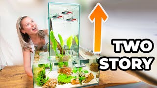 How To Make A Multi Level FISH PENTHOUSE