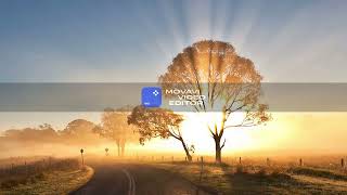 Treerock So Far, So Deep