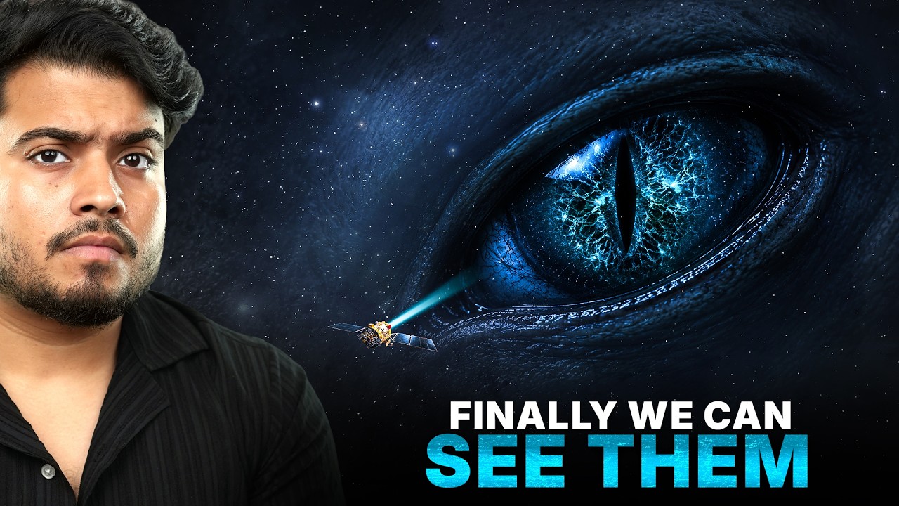 Finally We Can See Them
