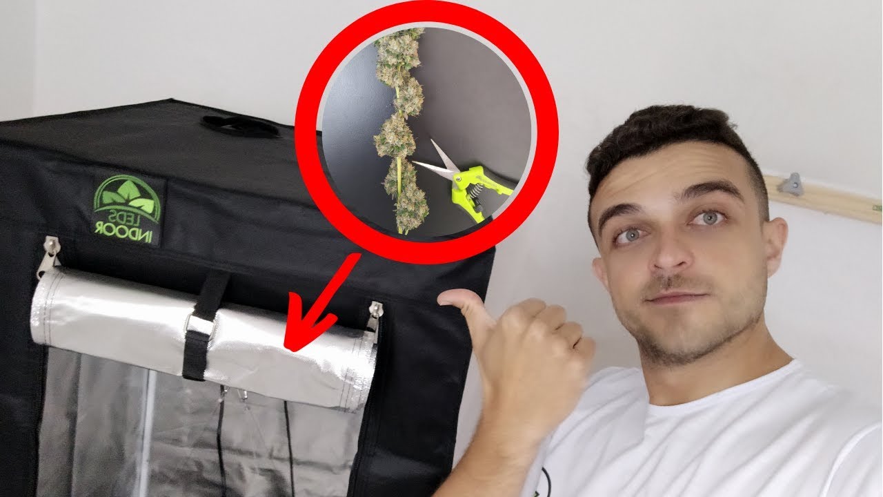 Chegaram todos os equipamentos para o CULTIVO INDOOR