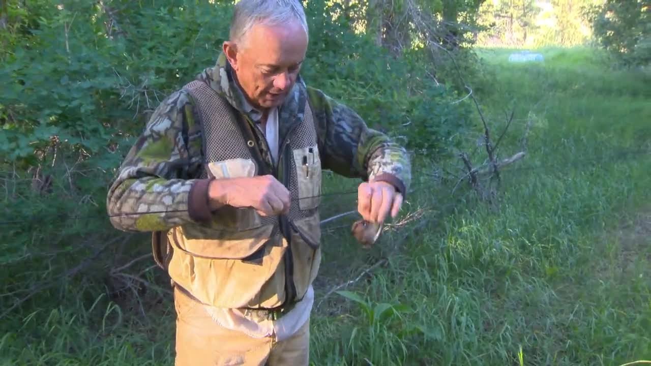 Video: Bird banding in Montana