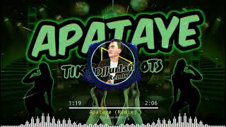 APATEYE APATAYE ( DJJURLAN VIRAL TIKTOK BUDOTS REMIX ) [ Music Visualizer]