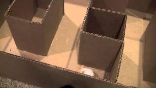 Science Fair - Training a rodent to a maze