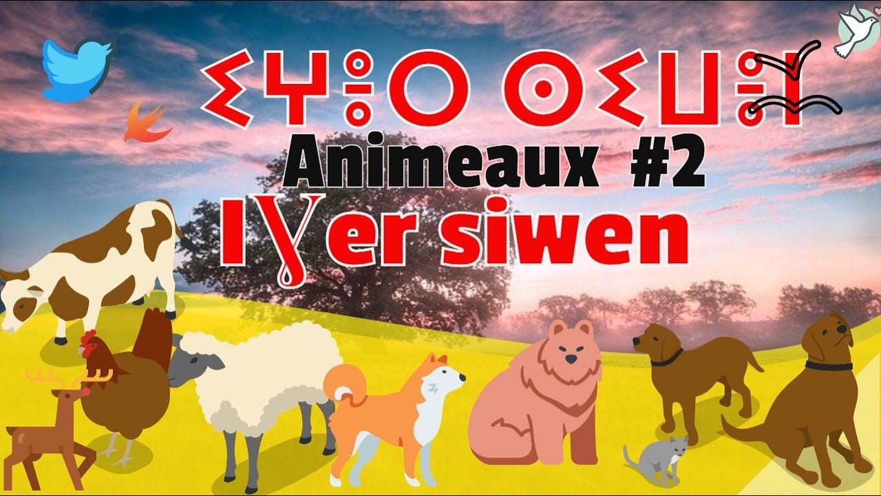 𝗩𝗶𝗱𝗲𝗼-𝟮/𝗟𝗲𝘀 𝗮𝗻𝗶𝗺𝗲𝗮𝘂𝘅 𝗲𝗻 𝗰𝗵𝗮𝘄𝗶 𝗧𝗮𝗺𝗮𝘇𝗶𝗴𝗵/ 𝗔𝗻𝗶𝗺𝗮𝗹 𝗶𝗻 𝗧𝗮𝗺𝗮𝘇𝗶𝗴𝗵 -𝗜ɣ𝗲𝗿𝘀𝗶𝘄𝗲𝗻-𝗔𝘀𝘀𝗲𝗻 𝗧𝗺𝗮𝘇𝗶ɣ𝘁