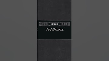 [ القارئ عبدالعزيز الزهراني ]