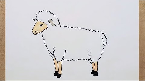 Sheep Drawing Easy | How To Draw A Sheep Easy Step By Step