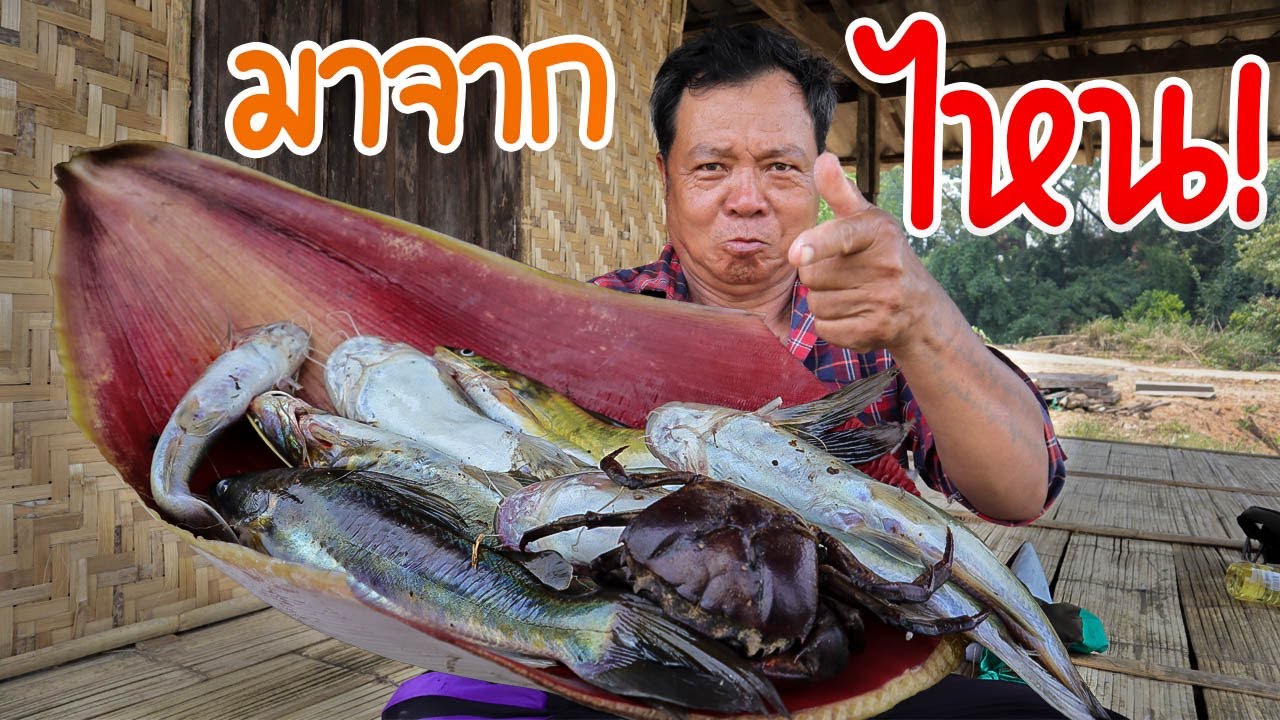 ครัวป่าไผ่   ตอน จับได้ปลากดตัวใหญ่ๆ ปลามาให้จับง่ายๆ