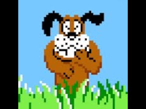Stupid Dog! You