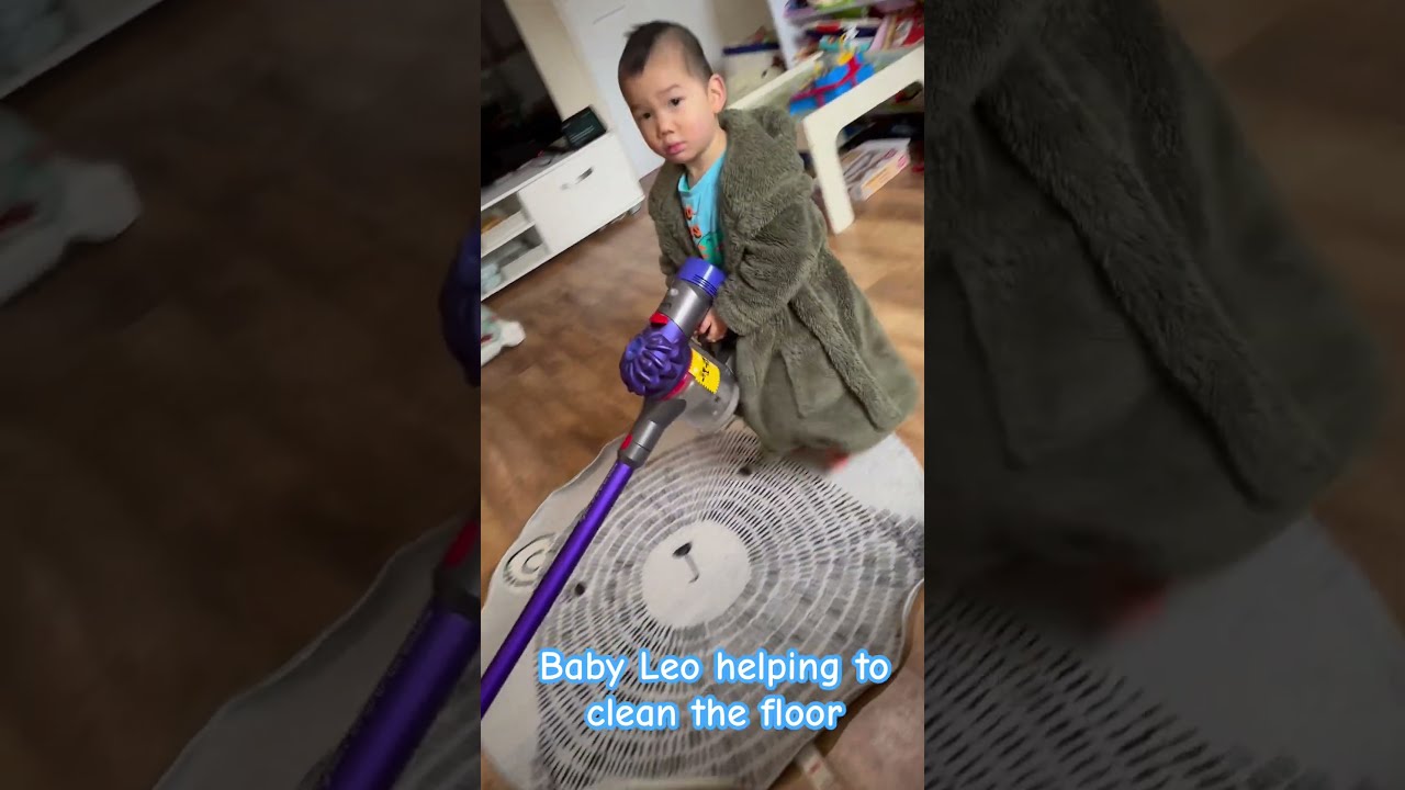 Baby Leo S World Testing Dyson V7 Cordless Vacuum Cleaner