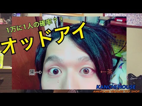 オッドアイ Youtube