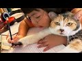 ПРИКОЛЫ С ЖИВОТНЫМИ / Смешные коты / Собаки / Смешные животные 188
