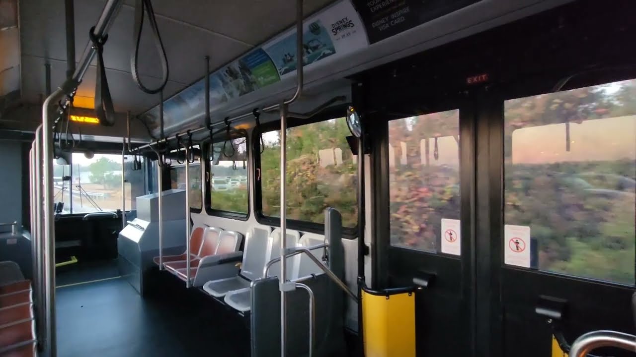 📍 You Are Here - Disney Bus Ride from Animal Kingdom to Jambo House