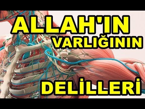 Allah'ın varlığının kanıtları | kısa kıssa - dini bilgiler