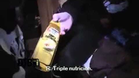 Krewella - BUS INVADERS Ep. 514 (Subtitulado al Español)