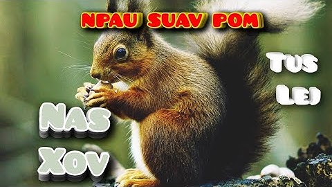 NPAU SUAV POM Nas Xov Txhais Li Cas/ Tus Lej