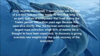 10 Terrifying Prehistoric Sea Monsters