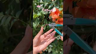 Cute diy bracelet 🌷🤌🏻