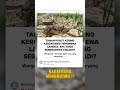Bagaimana menurut kamu !!