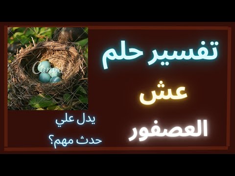 تفسير رؤيه عش العصافير في المنام لو رايت هذه الرؤيه سوف يحدث لك امور لا تتخيلها