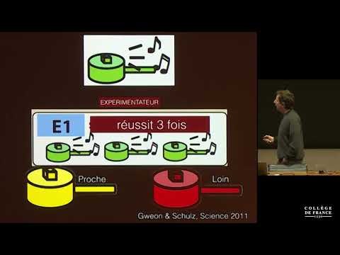 Développement du cerveau et émergence des fonctions cognitives (5) - Stanislas Dehaene (2018-2019)