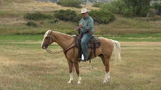 Ken McNabb: How to Teach Your Ranch Horse to Move Off Leg Pressure