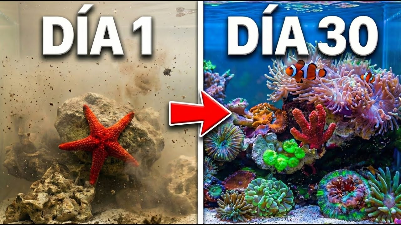 Simulé un OCÉANO en mi Salón (Día 1 a 30)