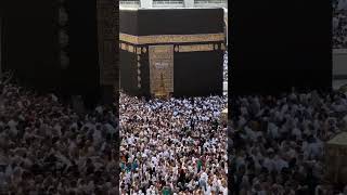Madina Monawara #viral #foryou #islamicity #love #pakistanreligion #islam #madinasharif #viral ♥️♥️ Madina Monawara #viral #foryou #islamicity #love #pakistanreligion #islam #madinasharif #viral ♥️♥️