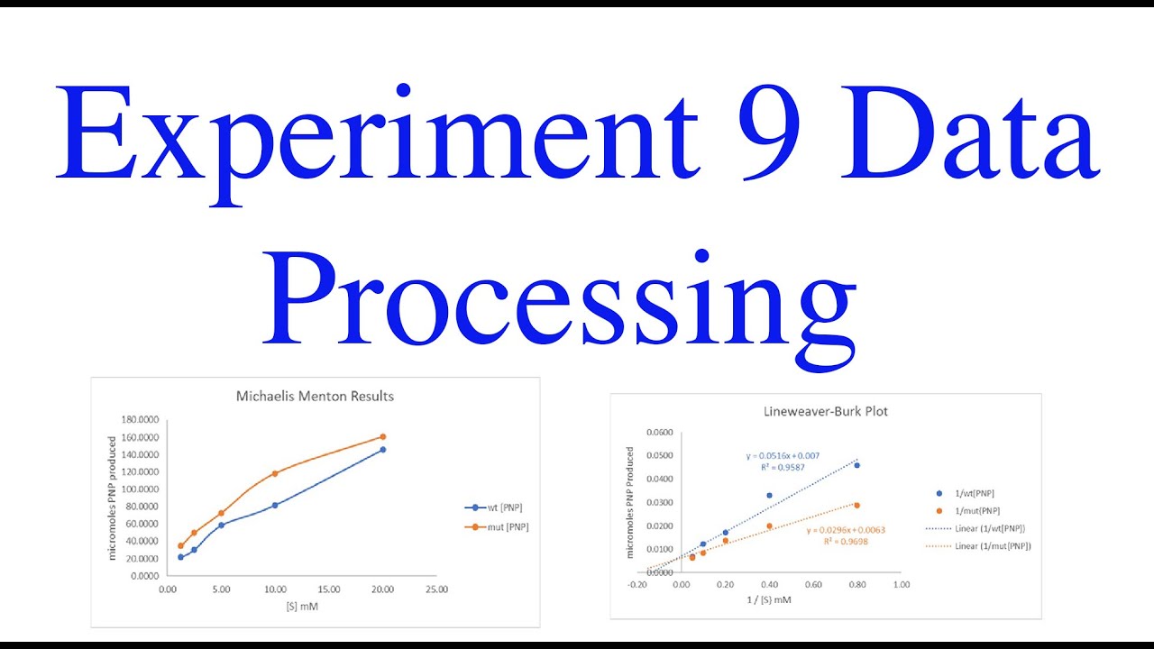 Experiment 9 Data Processing - YouTube