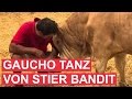 Gaucho-Tanz von Stier Bandit als Dank!