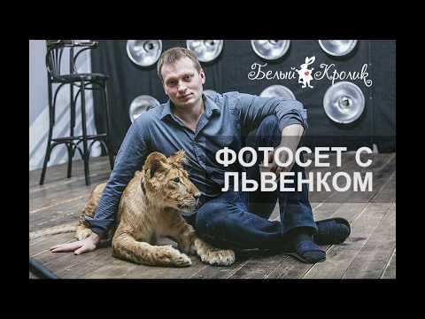 Фотосессия с львенком