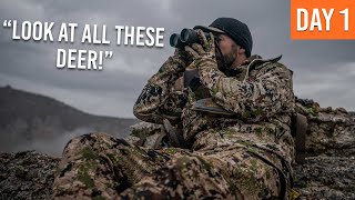 Last Second Deer Tag | Nevada Late Season Deer Hunt (EP.1)