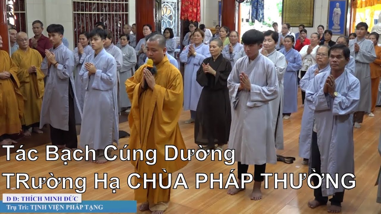 Tác bạch cúng dường trường hạ - Chùa Pháp Thường ĐN. 2019 | Thiện Tâm TV