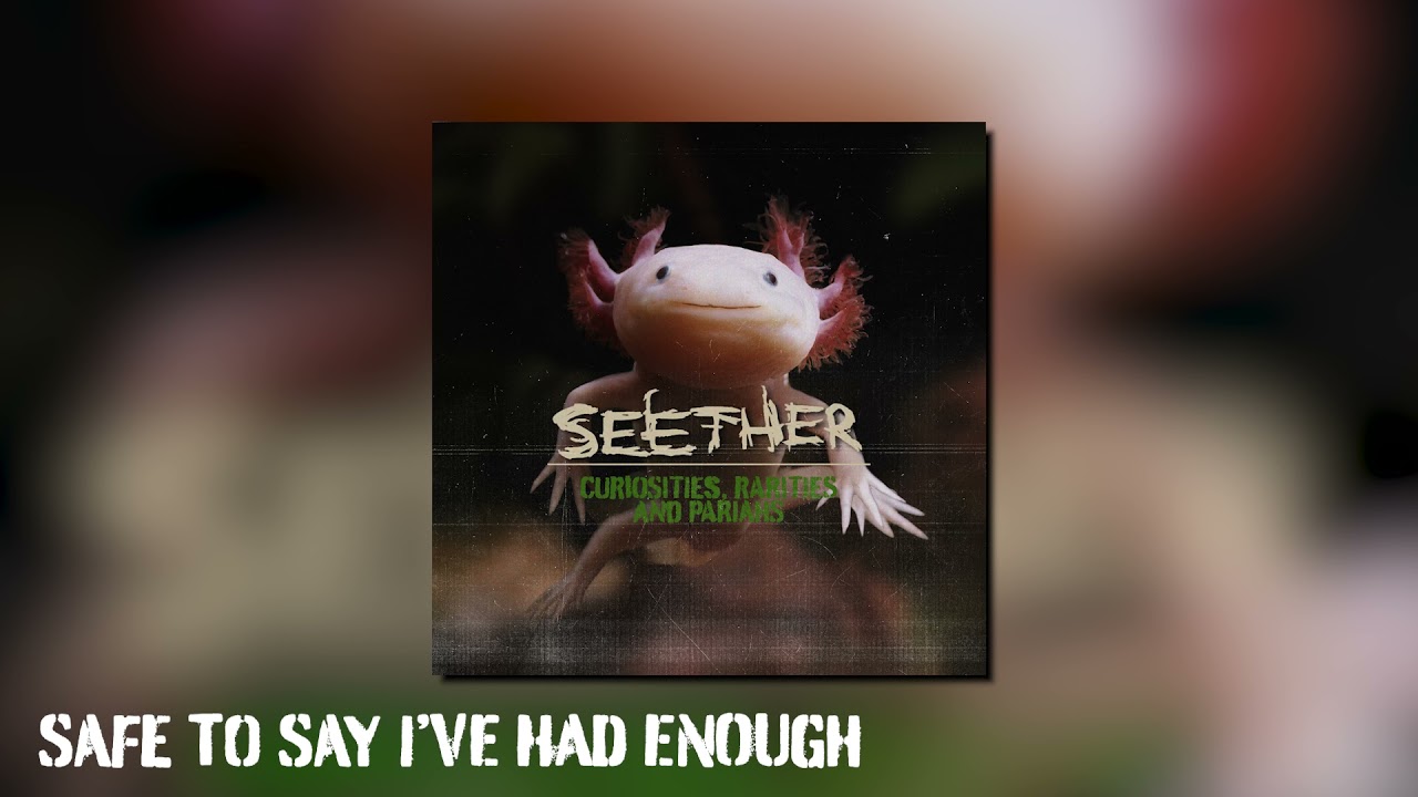 Seether - Safe To Say I've Had Enough (Official Visualizer)