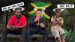 🇯🇲 Hút Cần Sa 24/7 ở Nhà Huyền Thoại Reggae Bob Marley • Trench Town, Jamaica